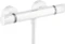Hansgrohe Ecostat Brausethermostat Comfort Aufputz Vorschaubild