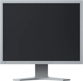 Eizo FlexScan S2133, grau, 21.3"
