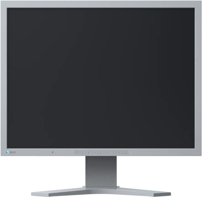 Eizo FlexScan S2133, grau, 21.3"
