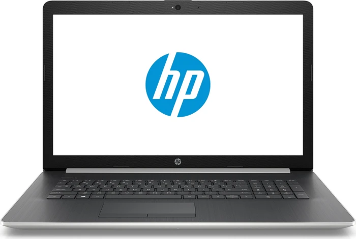 HP Laptop 17-by1001ng, Natural Silver/Ash Silver, Core i5-8265U, 8GB RAM, 256GB SSD, DE