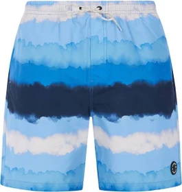 Protest Hamsey Badeshorts gladio blue (Herren)