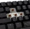 Ducky One 2 Pro Mini, PBT, schwarz, LEDs RGB, MX RGB BROWN, USB, US Vorschaubild