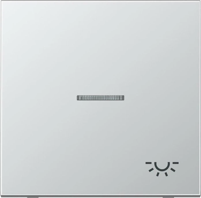 Jung Serie LS Wippe mit Lichtleiter Symbol Licht 1fach, Aluminium