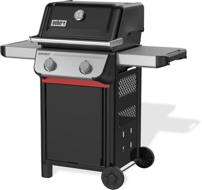 Weber Spirit E-210 schwarz