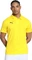 Puma teamGOAL Poloshirt kurzarm (Herren) Vorschaubild