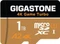 Gigastone 4k Game Turbo microSDXC Series Vorschaubild