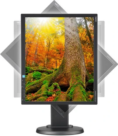 NEC MultiSync EA193Mi-BK, schwarz, 19"