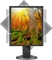 NEC MultiSync EA193Mi-BK, schwarz, 19" Vorschaubild