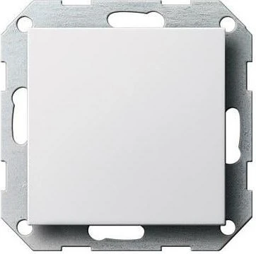 Gira System 55 Blindabdeckung mit Tragring (0268 27)