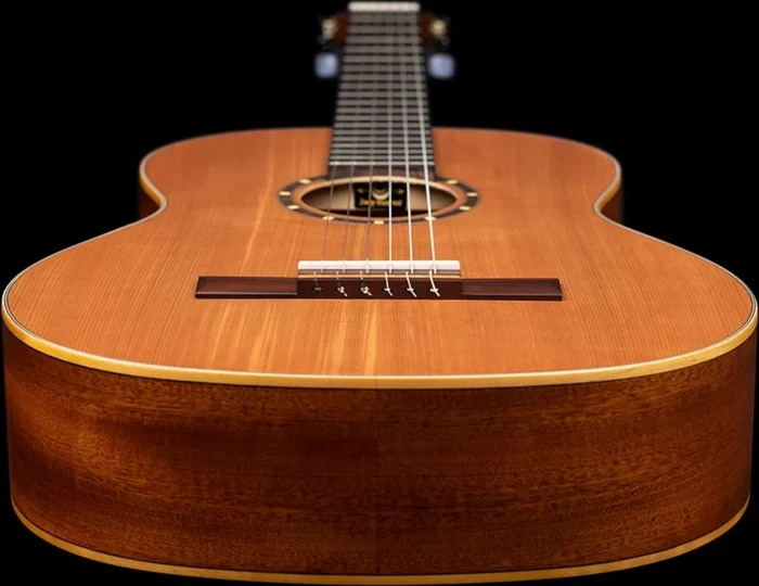 Ortega R122SN-L Slim Neck Left-Handed