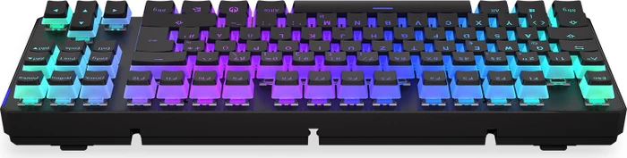 Endorfy Thock TKL Wireless Pudding, PBT, LEDs RGB, hot-swap, Kailh Box BROWN, USB/Bluetooth, DE