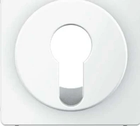 Berker Q.1/Q.3 Zentralstück für Schlüsselschalter/-taster, polarweiß samt
