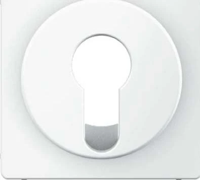 Berker Q.1/Q.3 Zentralstück für Schlüsselschalter/-taster, polarweiß samt