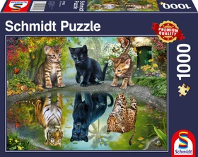 Schmidt Spiele Dream Big!