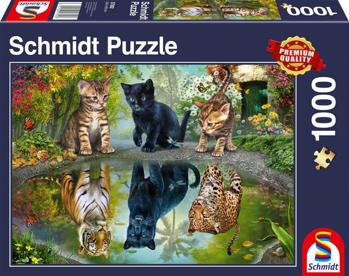 Schmidt Spiele Dream Big!