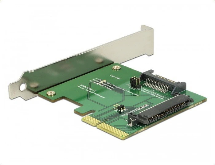 DeLOCK PCIe -> U.2 2.5"
