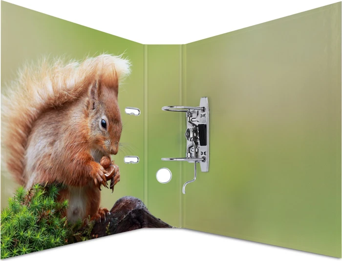Herma Ordner 2-Ring mit Motiv, 70mm, A4, Animals Waldtiere