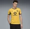 Puma BVB Borussia Dortmund Cup 2025/2026 Trikot kurzarm (Herren) Vorschaubild