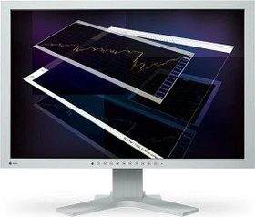 Eizo FlexScan S2433WFS, grau, 24"