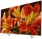 Sony KD-49XF8577 Vorschaubild