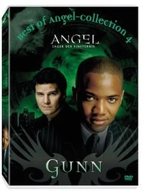 Angel - Jäger der Finsternis - Best of Gunn (DVD)