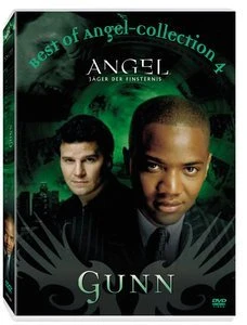 Angel - Jäger der Finsternis - Best of Gunn (DVD)