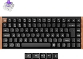 Keychron K2 HE Wireless, Special Edition ISO Black, 75%, PBT, LEDs RGB, Gateron 2.0 Magnetic Nebula, USB/Bluetooth, DE (K2H-F1-DE)