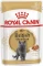 Royal Canin British Shorthair Vorschaubild
