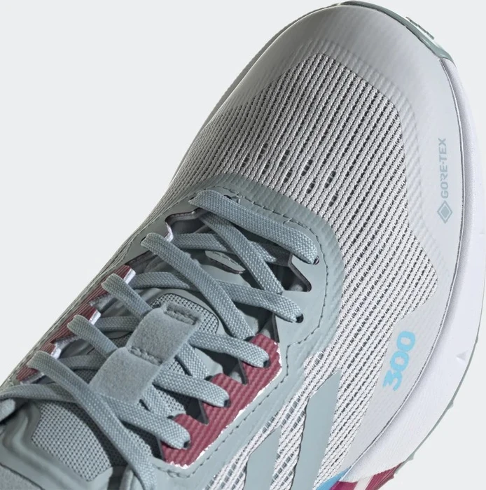 adidas Terrex Agravic Flow 2.0 GTX dash grey/magic grey/sky rush (Damen)