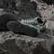 adidas Terrex Swift Solo 2.0 silver green/legend ivy/linen green Vorschaubild