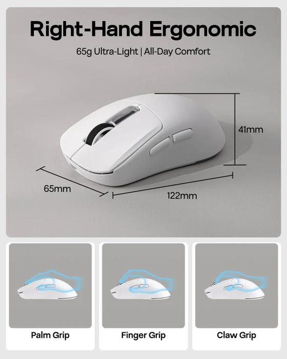 Epomaker Nex Lite Wireless Gaming Mouse mit Ladestation, weiß, USB/Bluetooth