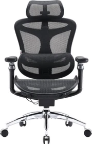 Sihoo Doro C300 Pro Ergonomischer Bürostuhl, schwarz