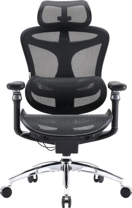 Sihoo Doro C300 Pro Ergonomischer Bürostuhl, schwarz