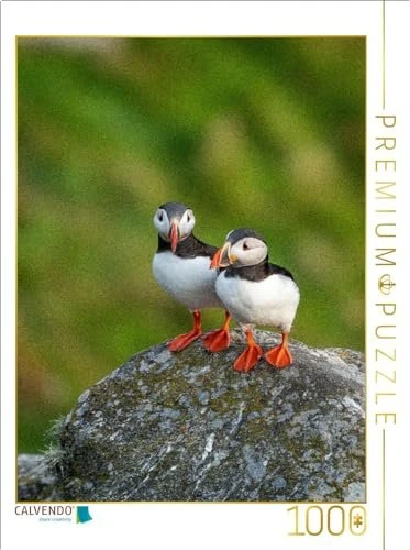 Calvendo Ein Motiv aus dem Kalender Naturerlebnis Puffin