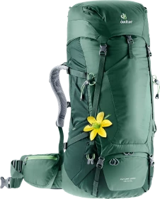 Deuter Futura Vario 45+10 SL seagreen/forest (Damen)