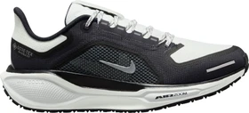 Nike Pegasus 41 Gore-Tex black/anthracite/iron grey/summit white (Damen)