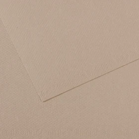 Canson Mi-Teintes Zeichenpapier, 500x650mm, glatt, grau, 10 Blatt