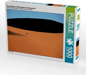 Calvendo Oryxantilope im Dünenmeer des Sossusvlei