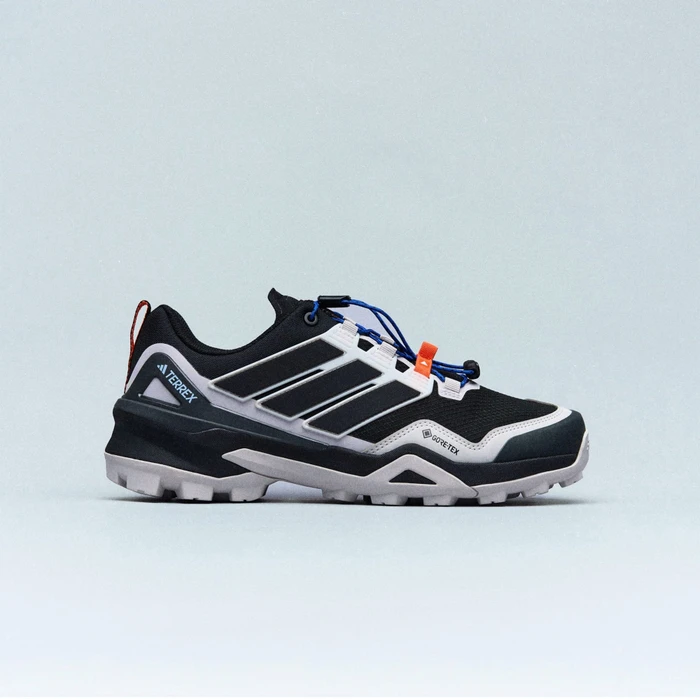 adidas Terrex Skychaser GTX core black/grey one (Herren)