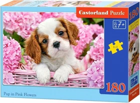 Castorland Pup in Punk Flowers