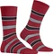 Falke Marina Stripe Socken scarlet (Herren) Vorschaubild