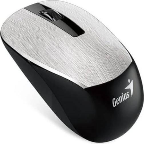 Genius NX-7015 V2 Wireless BluEye Mouse Silver silber/schwarz, USB