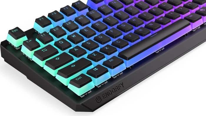 Endorfy Thock TKL Wireless Pudding, PBT, LEDs RGB, hot-swap, Kailh Box RED, USB/Bluetooth, US