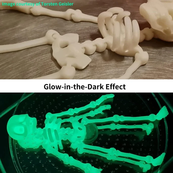 Siraya Tech Craft Glow in Dark Green, 1.00kg