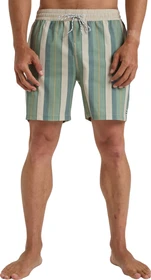 Billabong Sundays Badeshorts moss (Herren)