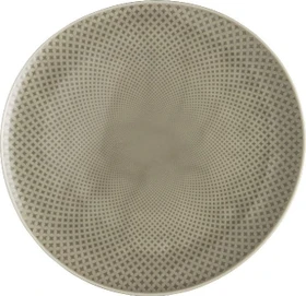 Rosenthal Junto Pearl Grey Speiseteller 27cm