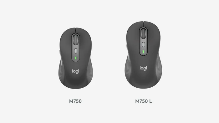 Logitech Signature Plus M750 L, Graphite, Logi Bolt, USB/Bluetooth