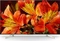 Sony FW-65BZ35F, 65" Vorschaubild