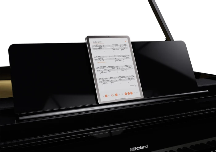 Roland GP-9 schwarz