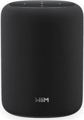 WiiM Sound Lite schwarz